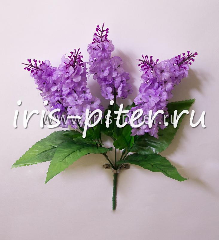 Букет сирень 5г