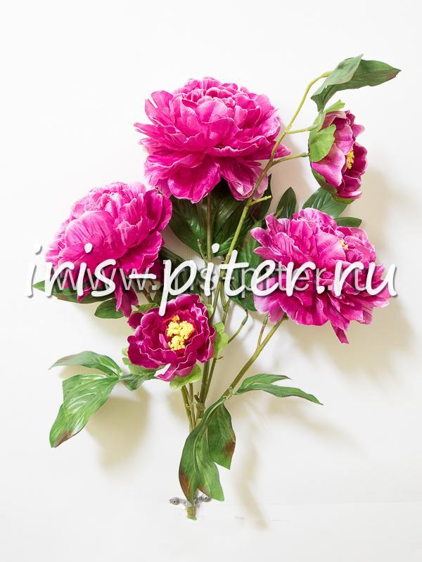 Букет пион 5г 