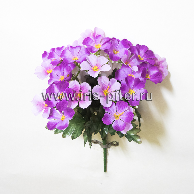 Букет фиалка 25г 