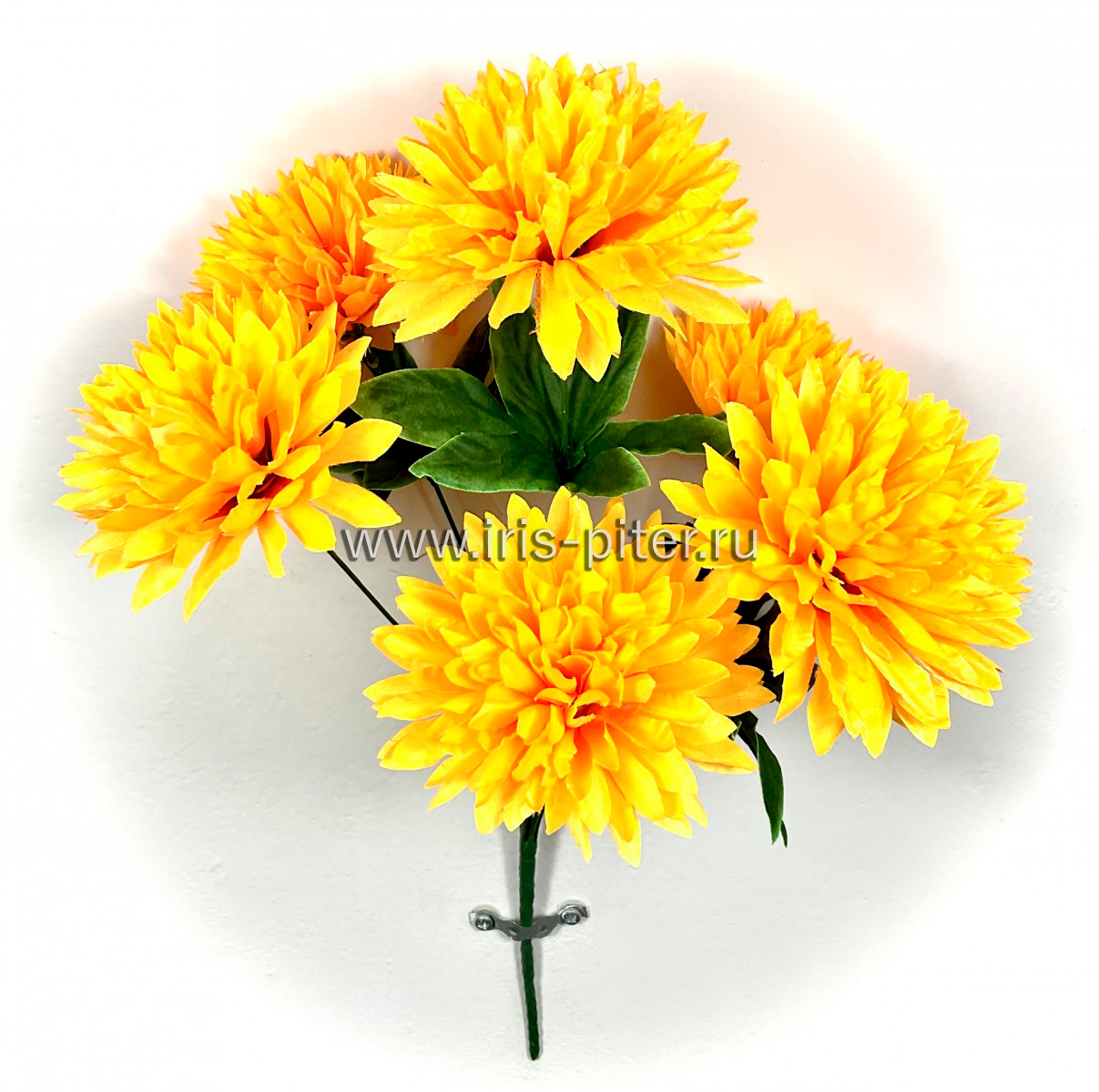 Букет хризантема 6г 