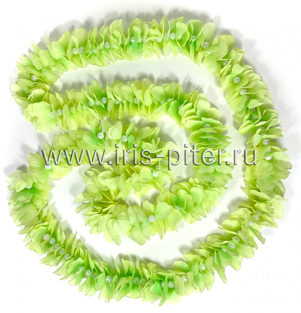 Лиана гавайская зеленая