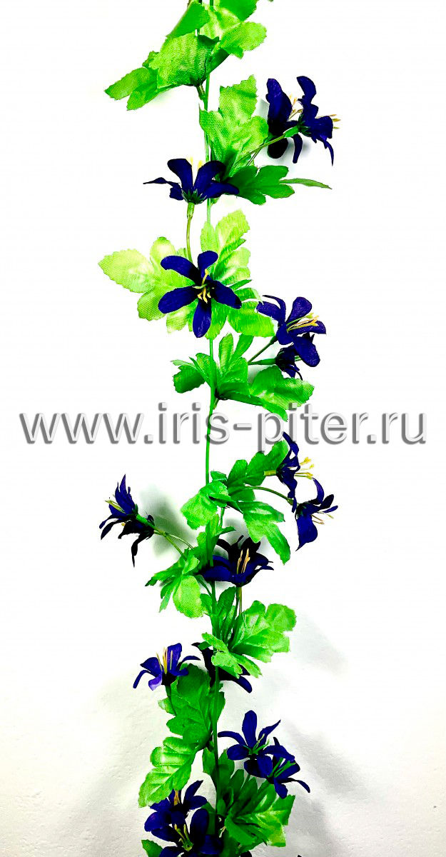 Лиана лилия фиолетовая