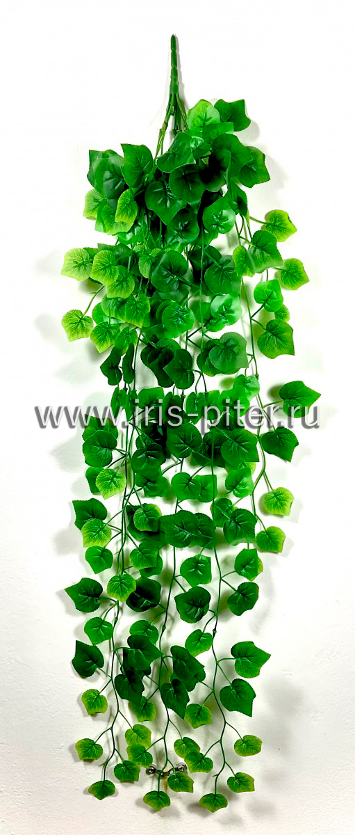 Ветка виноград 9вет