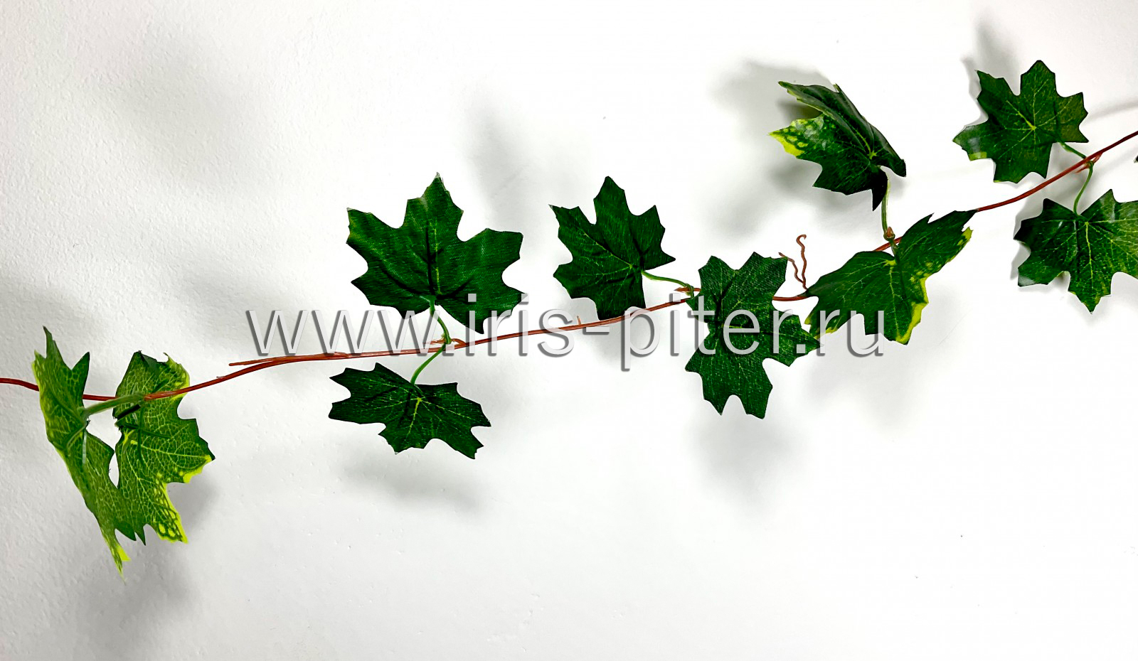 Лиана 5веток клен «Осень»