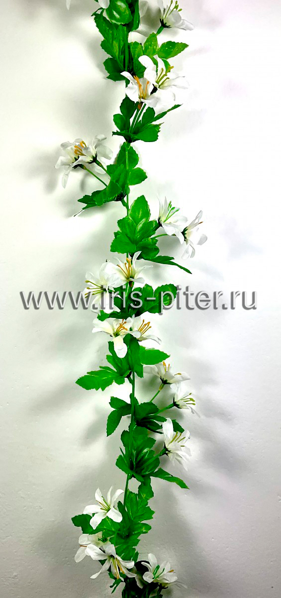 Лиана лилия белая