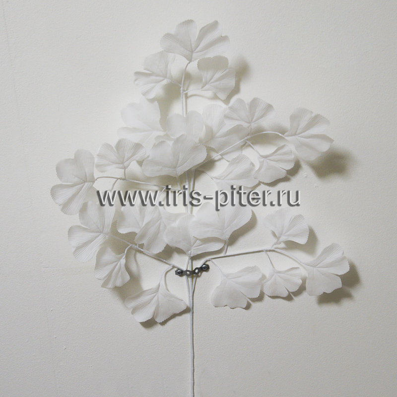 Ветка белый клен свадебный 