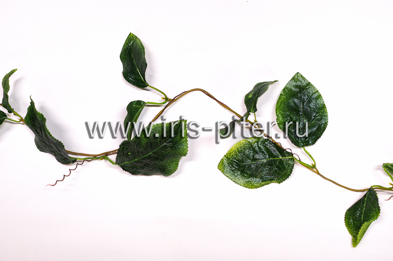 Лиана 5 веток роза