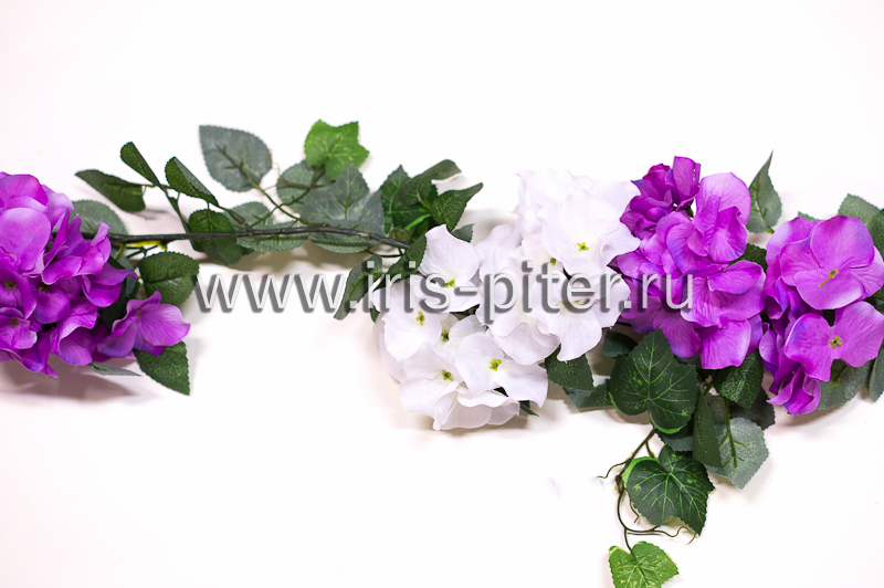 Лиана гортензия 