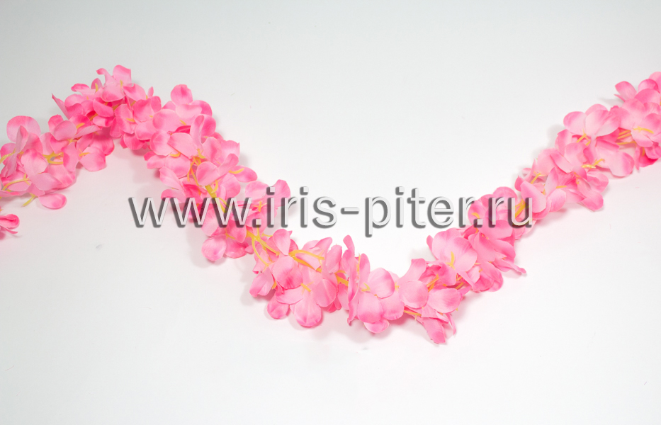 Лиана фиалка розово-малиновая