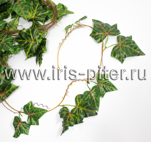 Лиана 5 веток с красной прожилкой