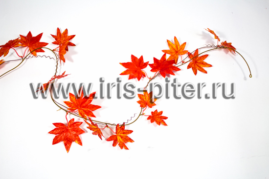 Лиана 5 веток фатсия рыжая