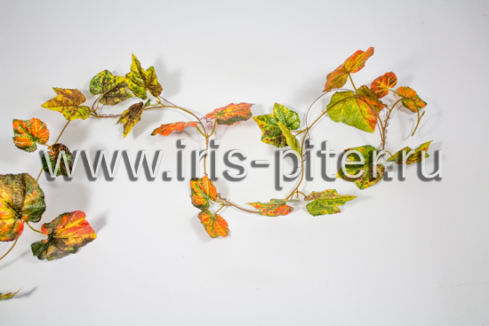Лиана 5веток виноград «осень» 