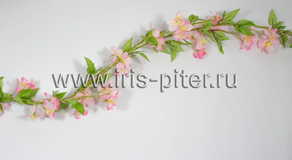 Лиана яблоня