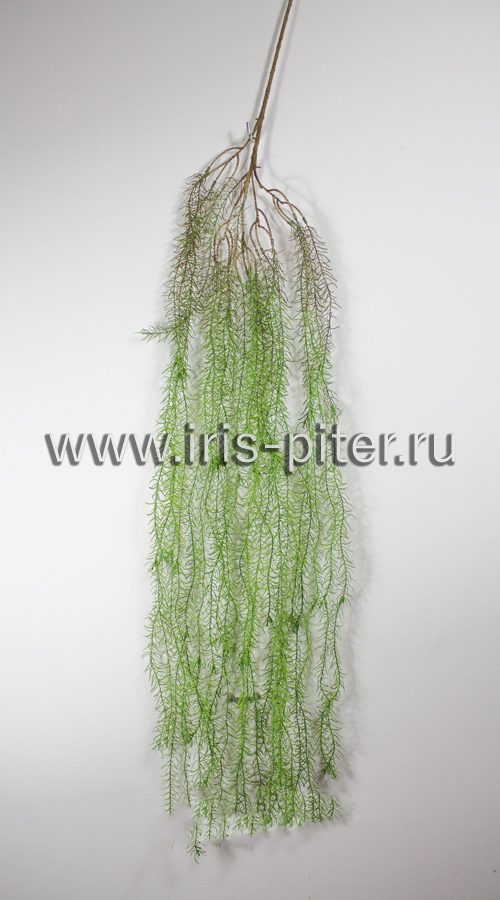 Ветка розмарин светлая