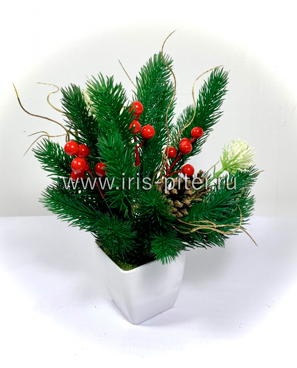 Елка с ягодами и шишкой в горшке