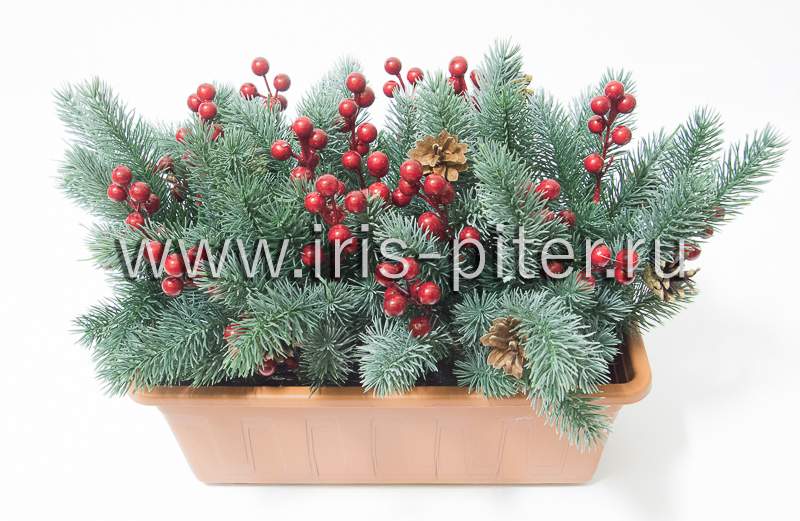 Балконный ящик с елочкой, ягодами и шишками