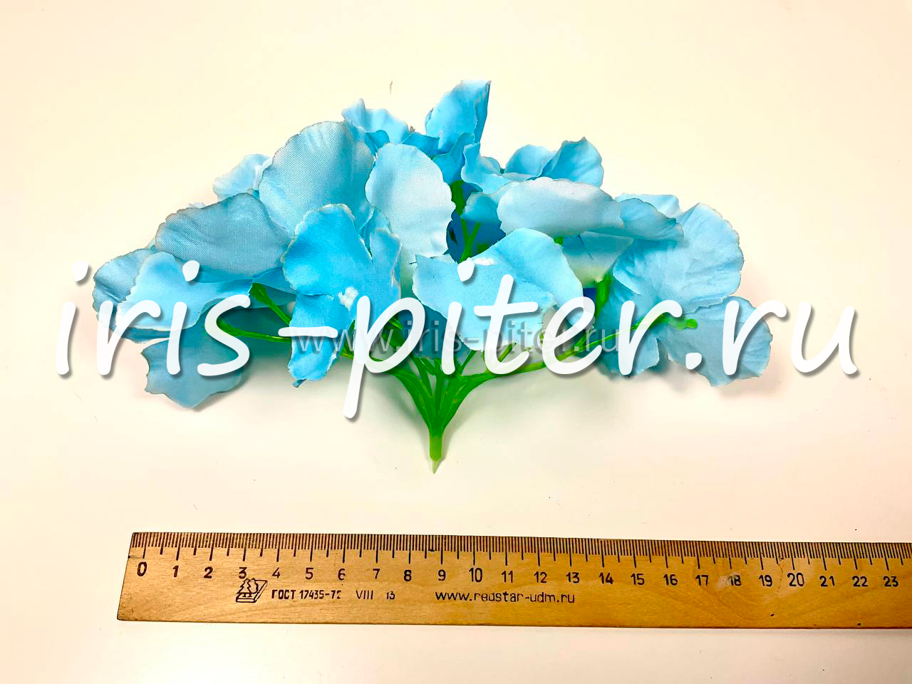 Голова гортензии