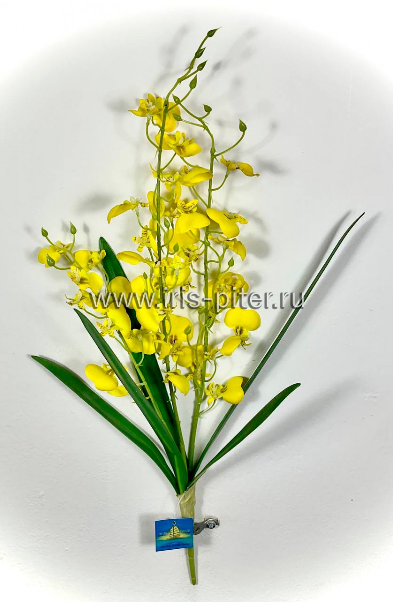 орхидея 3вет онцидиум желтая