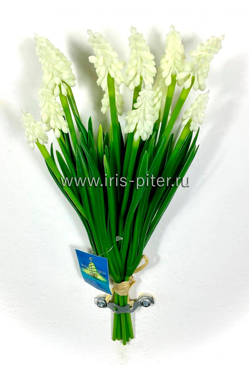 Мускари латекс