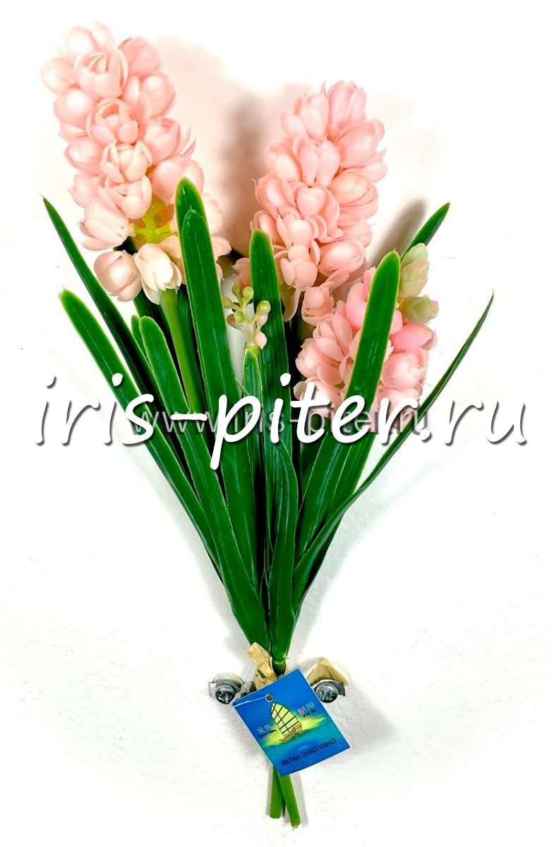 мускари 3г 1бут  латекс