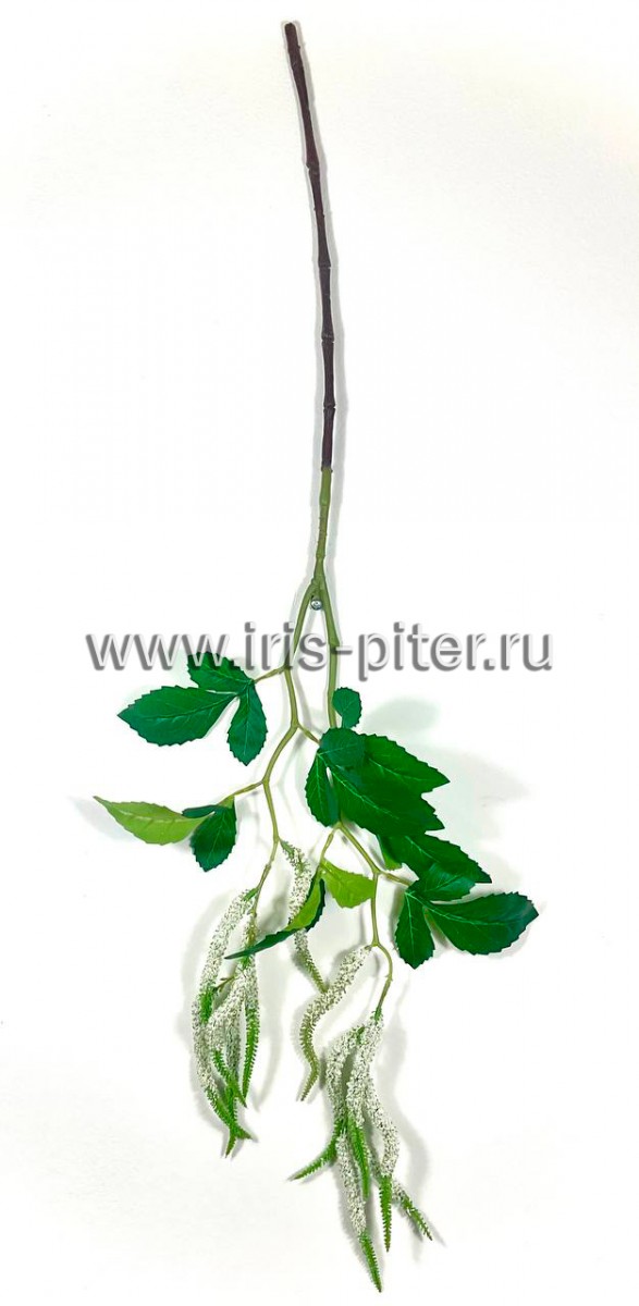 Ветка амарант