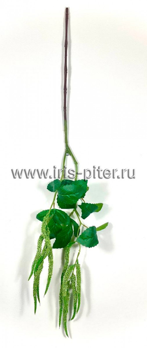 Ветка амарант