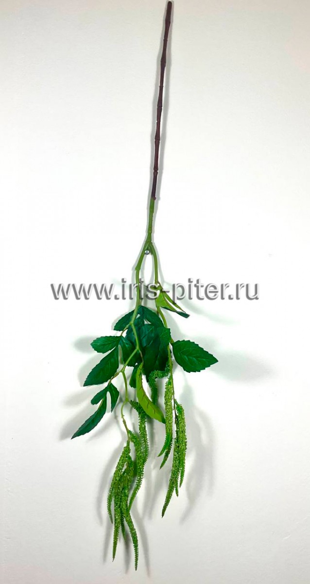 Ветка амарант