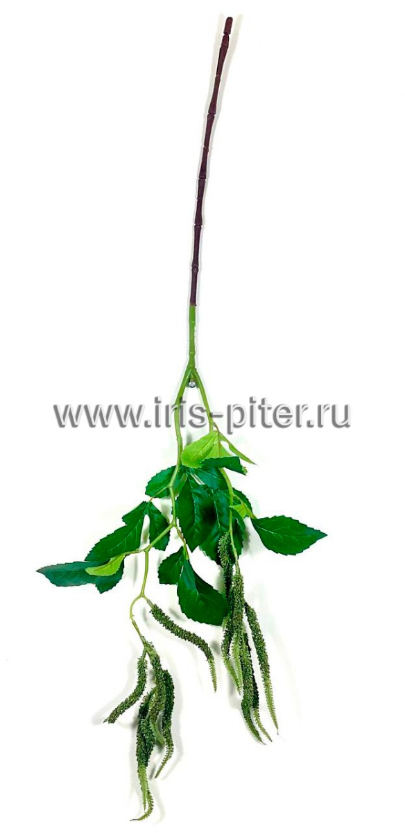 Ветка амарант