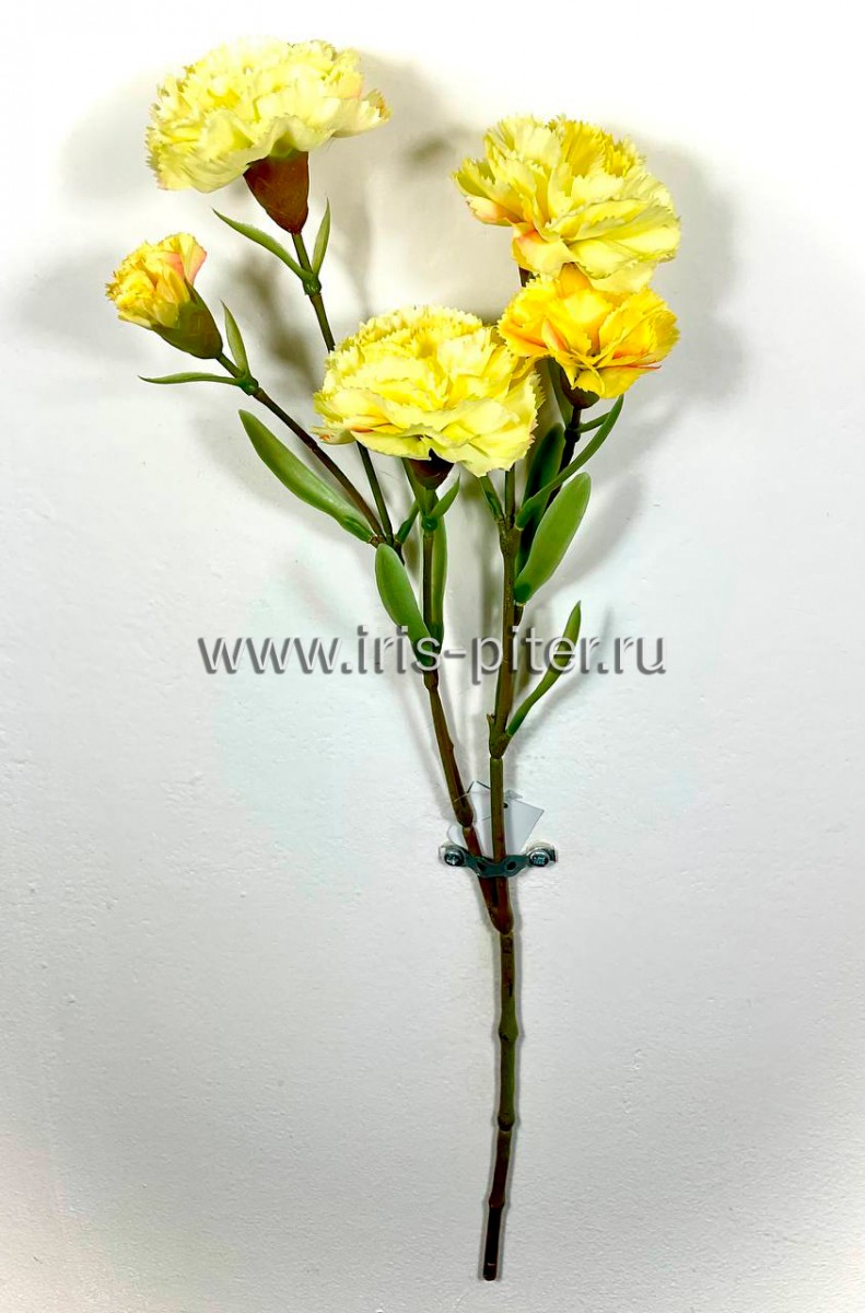 Ветка гвоздика 3г 2бут флористическая