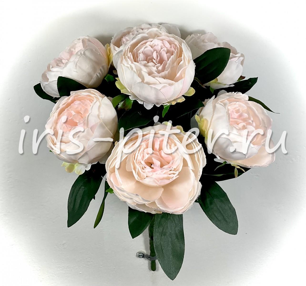 Букет пион 7г 