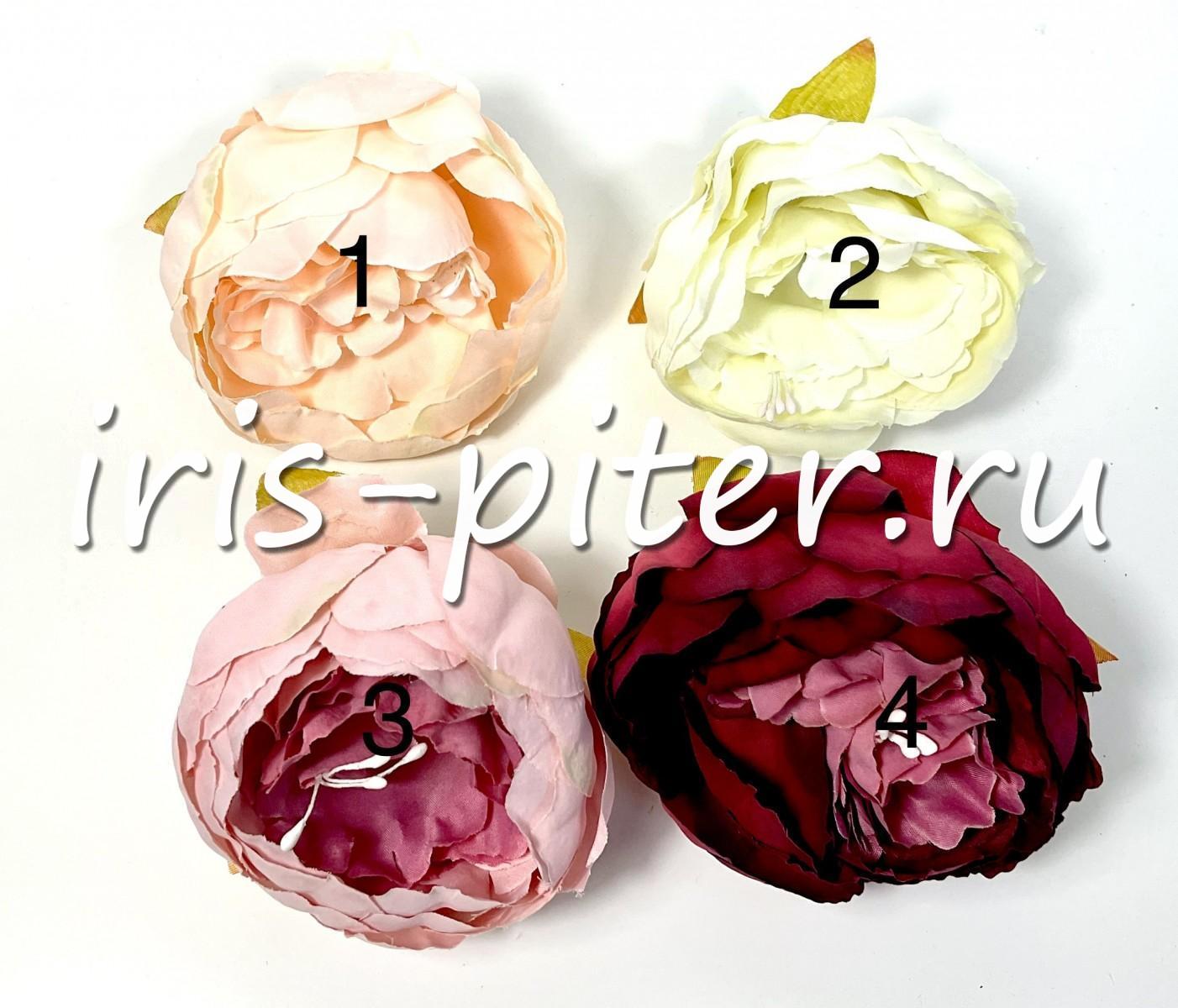 голова пион флористический