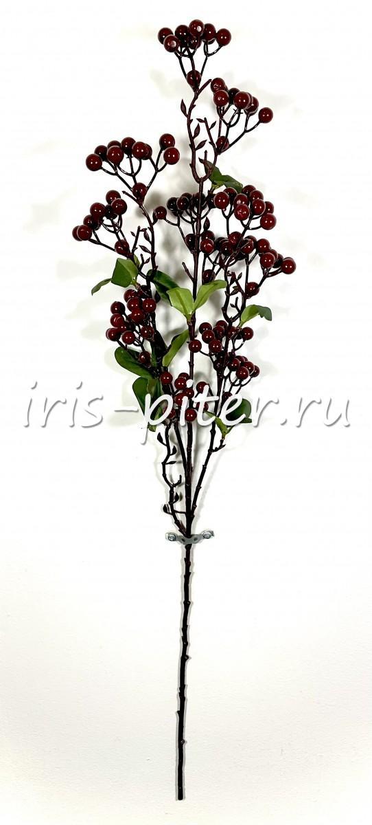 ветка ягоды зонтик Бордовая