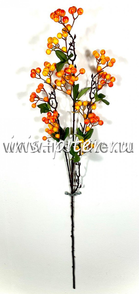 ветка ягоды зонтик оранжевая