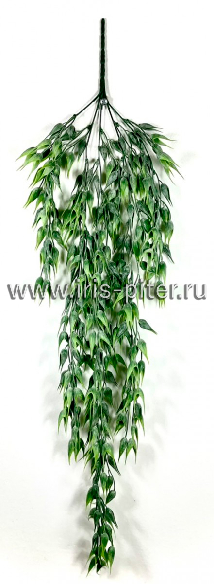 Ветка овес зеленая с напылением