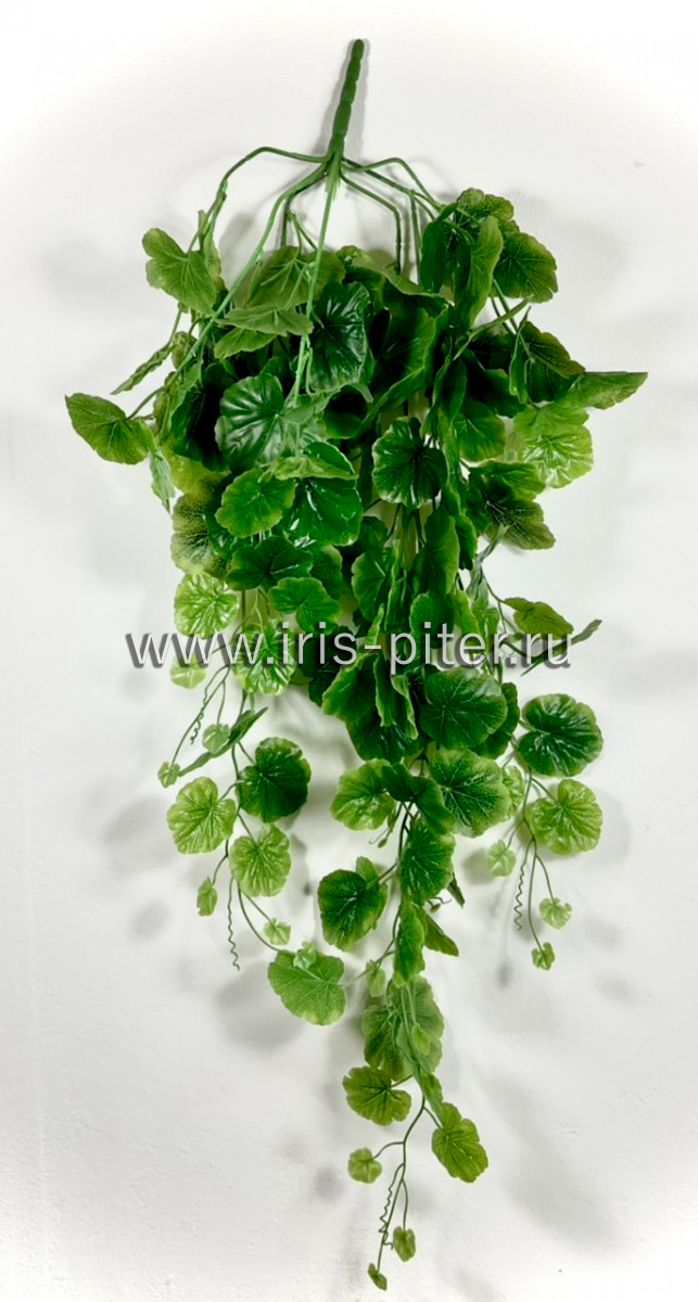 Ветка герань темно-зеленая