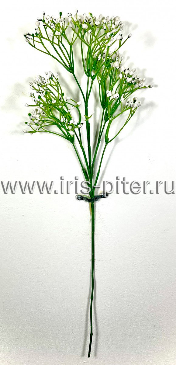 Ветка кашка 5веток