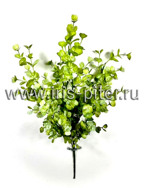 Эвкалипт пластм 6вет  