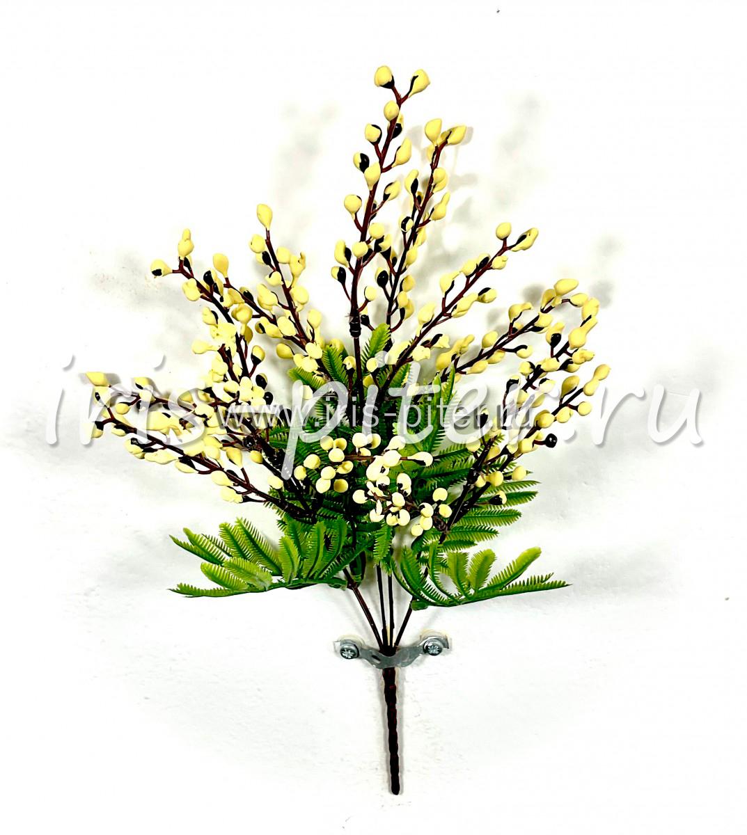 Мимоза 5вет 