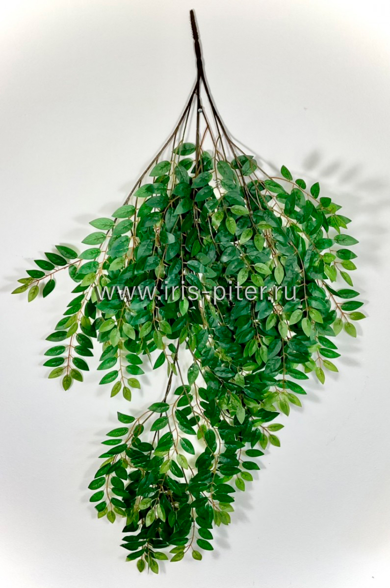 Ветка акация ампельная 3вет 