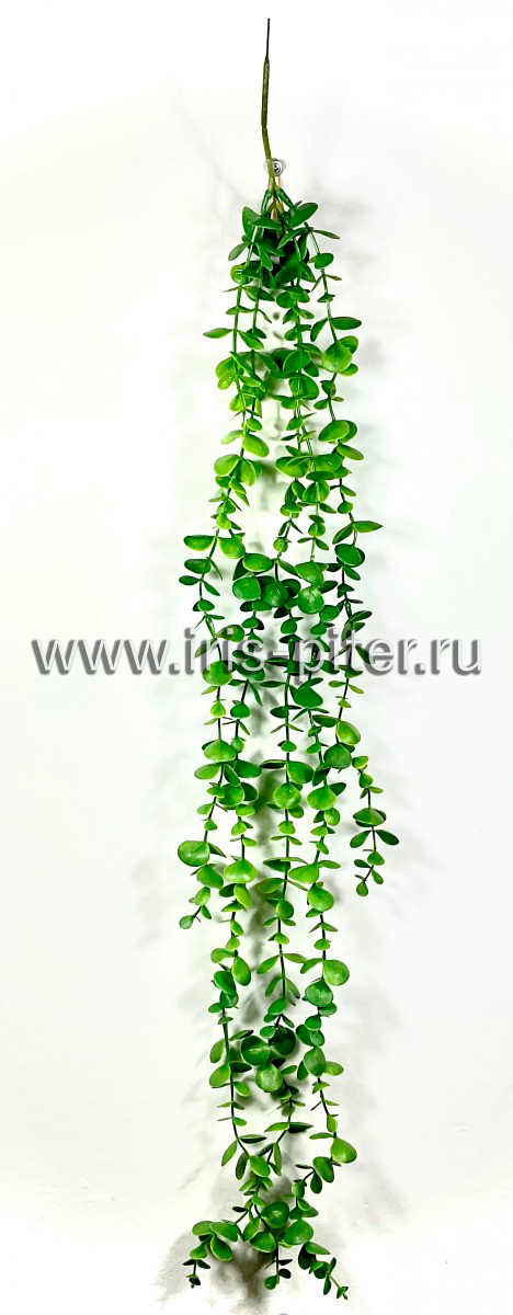 Ветка эвкалипт 5вет