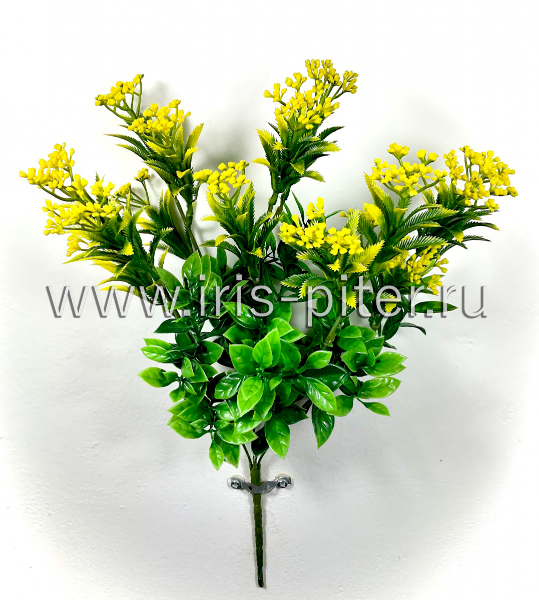 Спирея 5 веток высокая