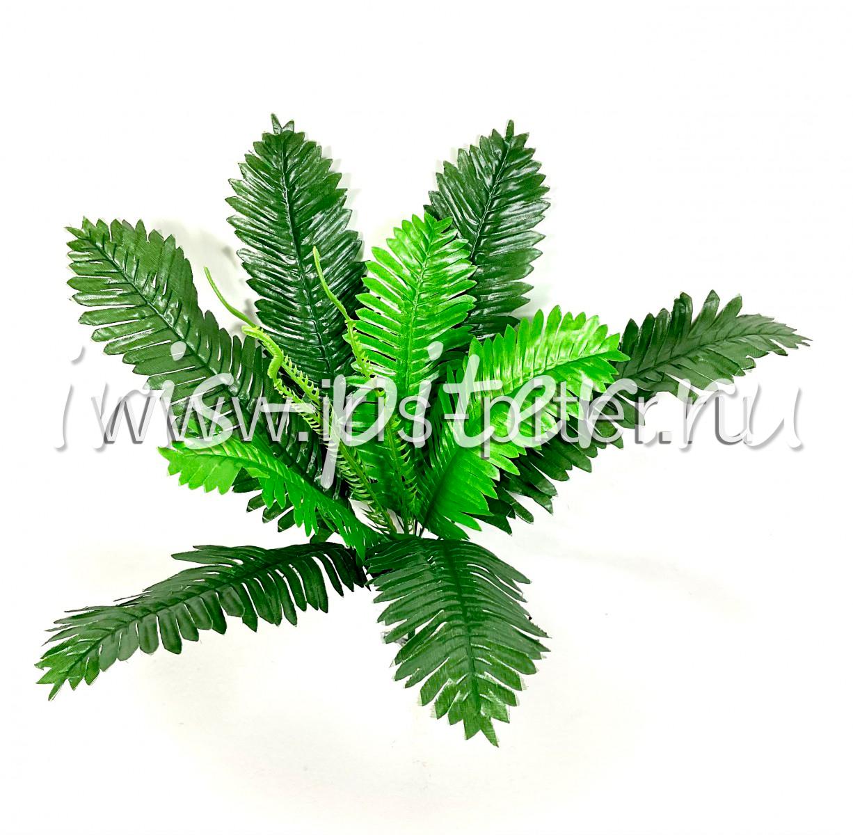 Папоротник 12веток с вайями