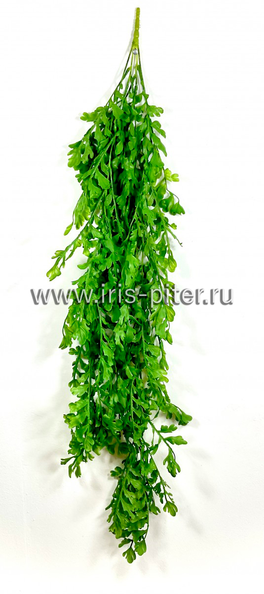 Ветка папоротник оленьи рога 4вет