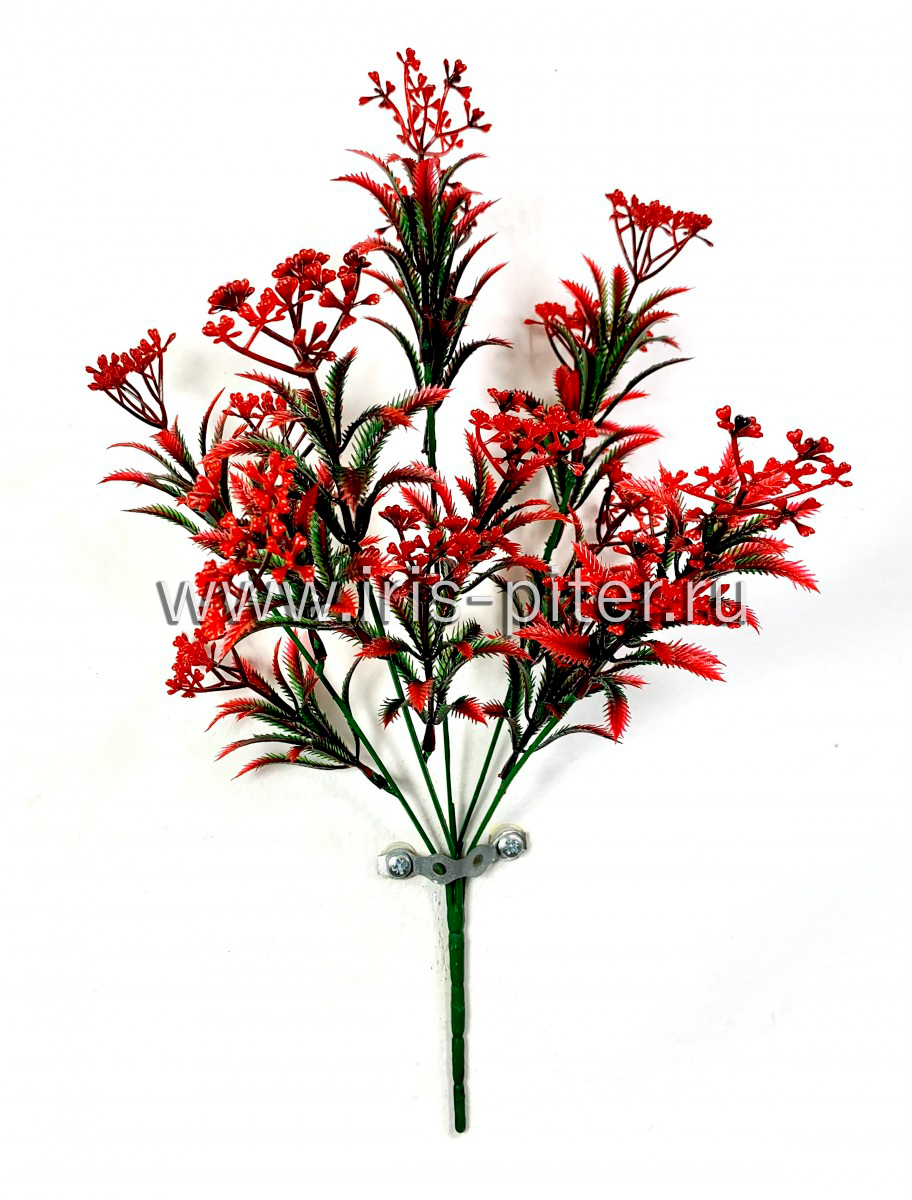 Спирея 5вет маленькая