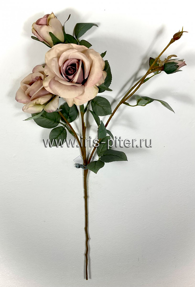 ветка роза 2г2бут флористическая круглая