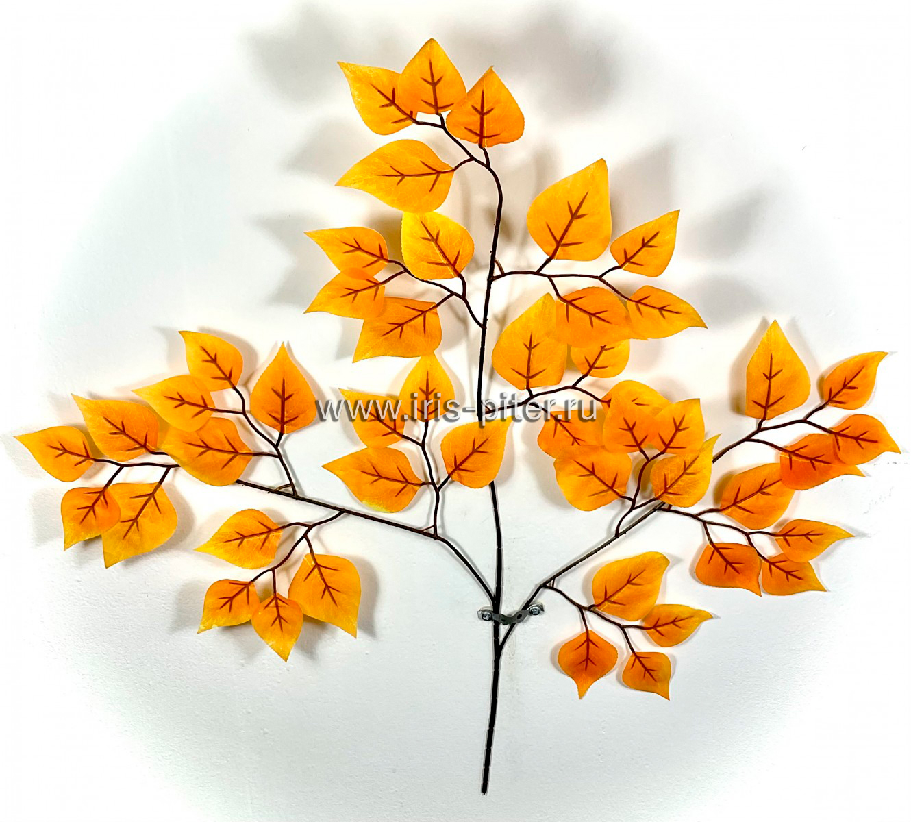 Ветка береза желтая