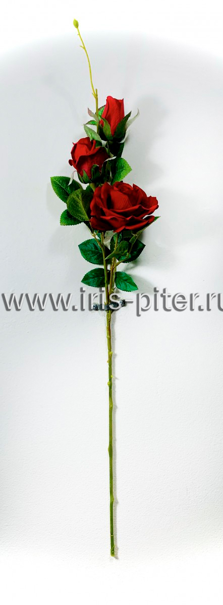 Ветка роза 1г 2бут
