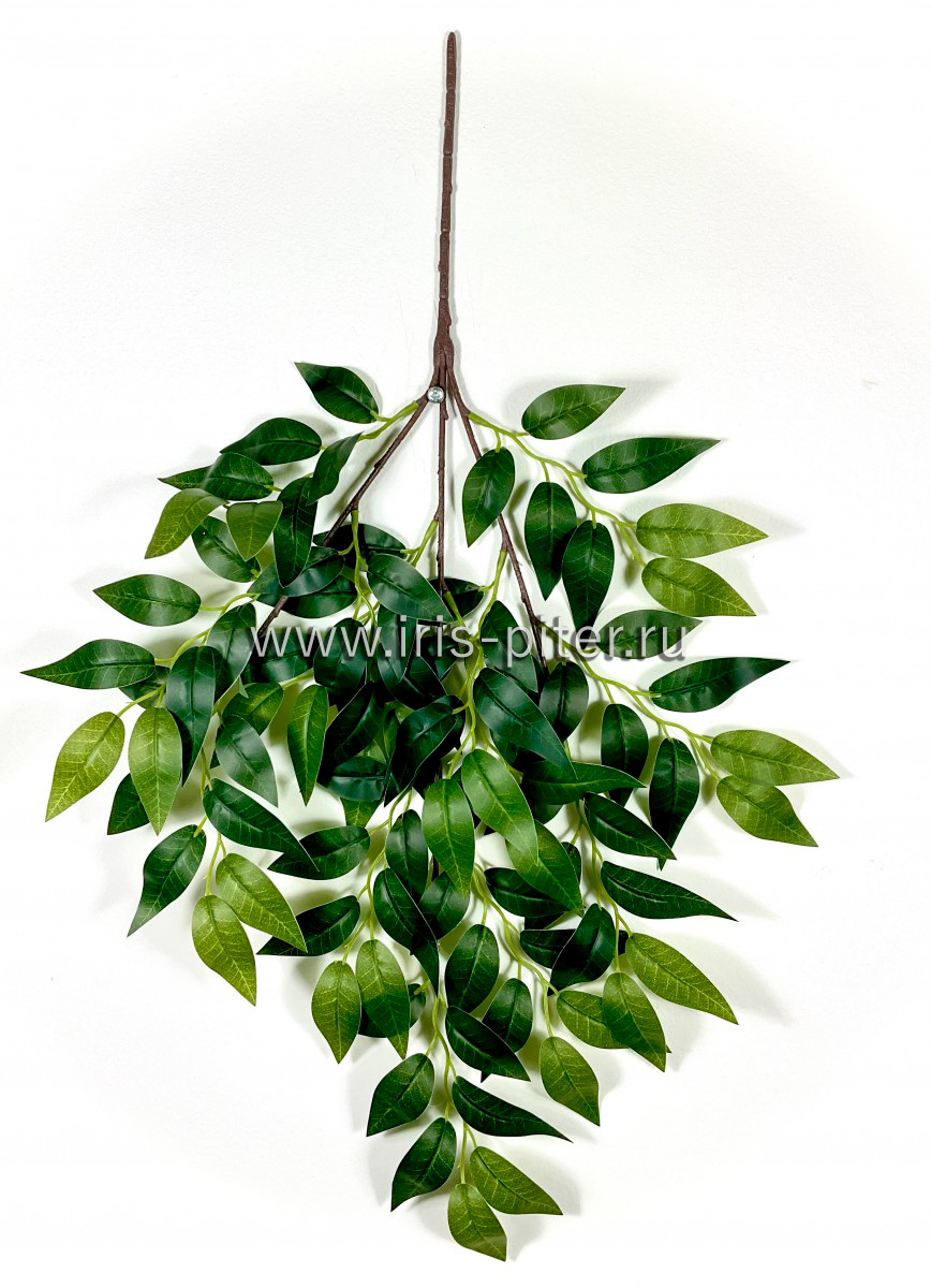 Ветка гранат 