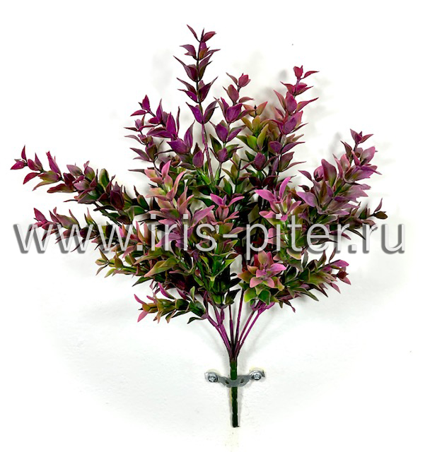 Фонтиналис 7вет