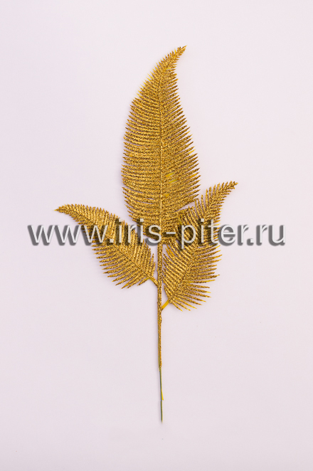 Папоротник мерцающий трехлистник